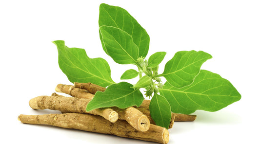 Benefits Of Ashwagandha